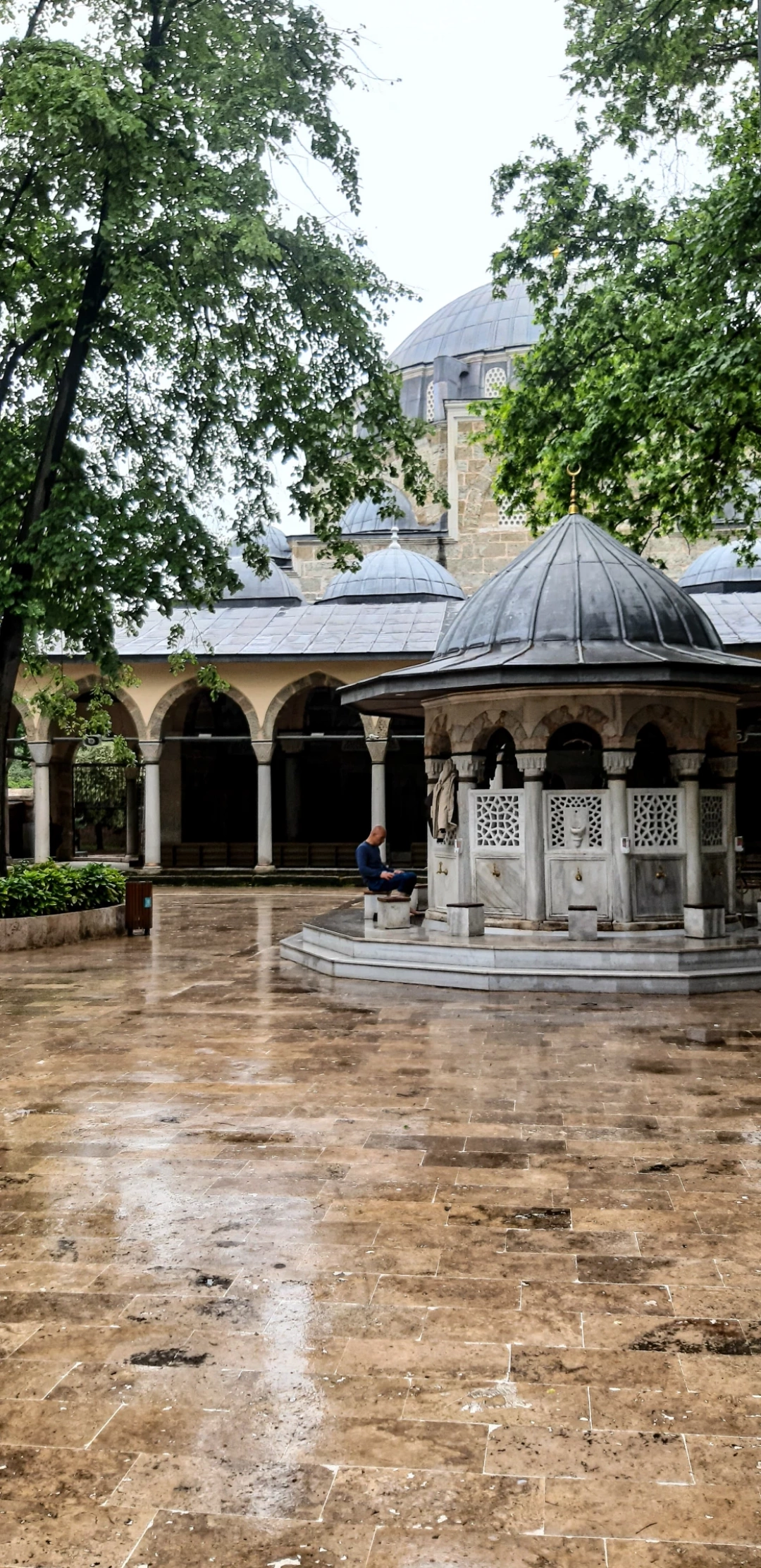 yenicumacamii / 12638