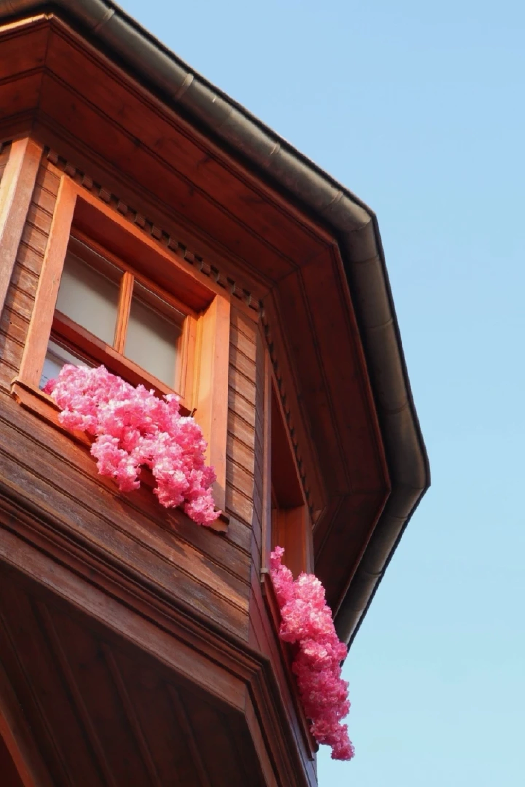 kapancasokak / 13082