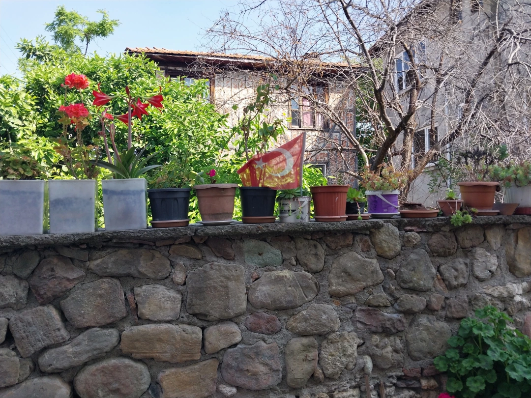 karamursel-eregli / 13338