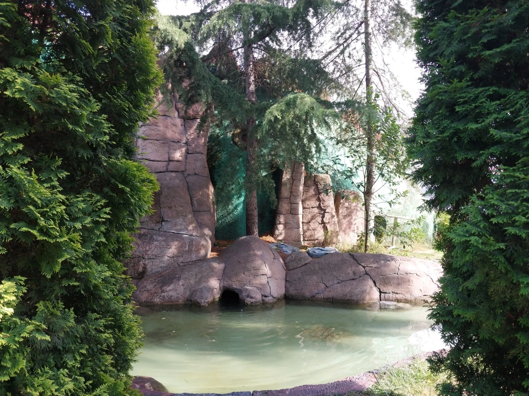 harikalardahili / 14082