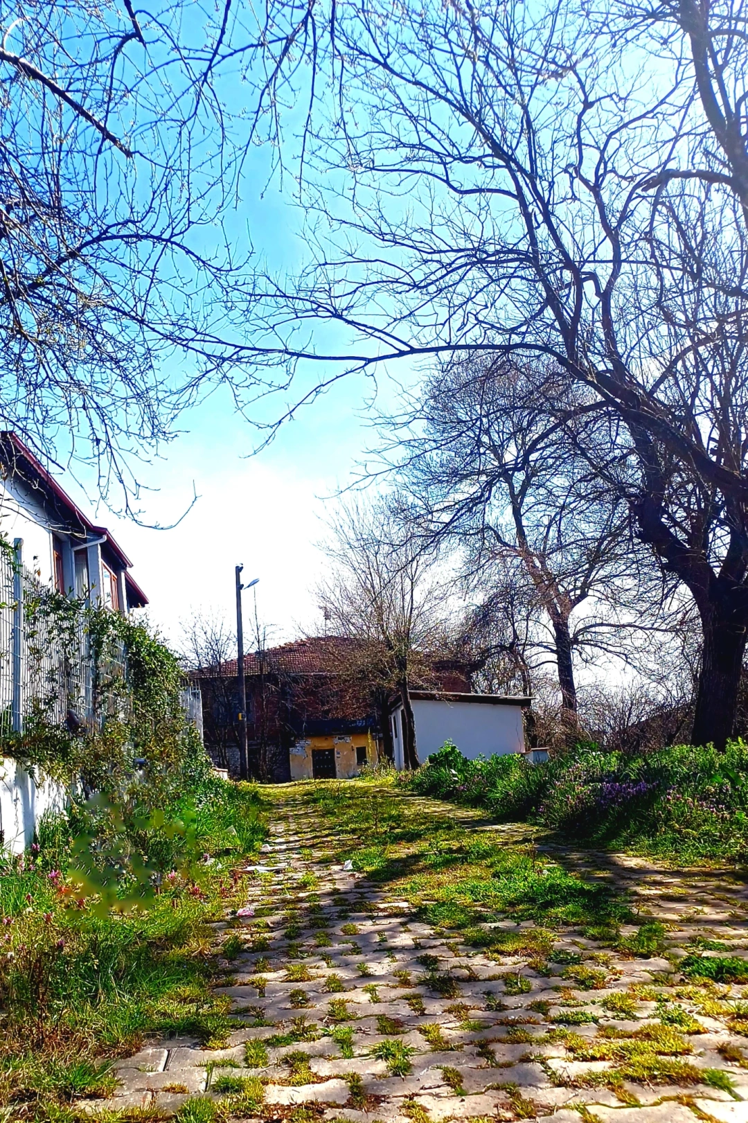 ishakcilar-koyu-derince-kocaeli / 10482