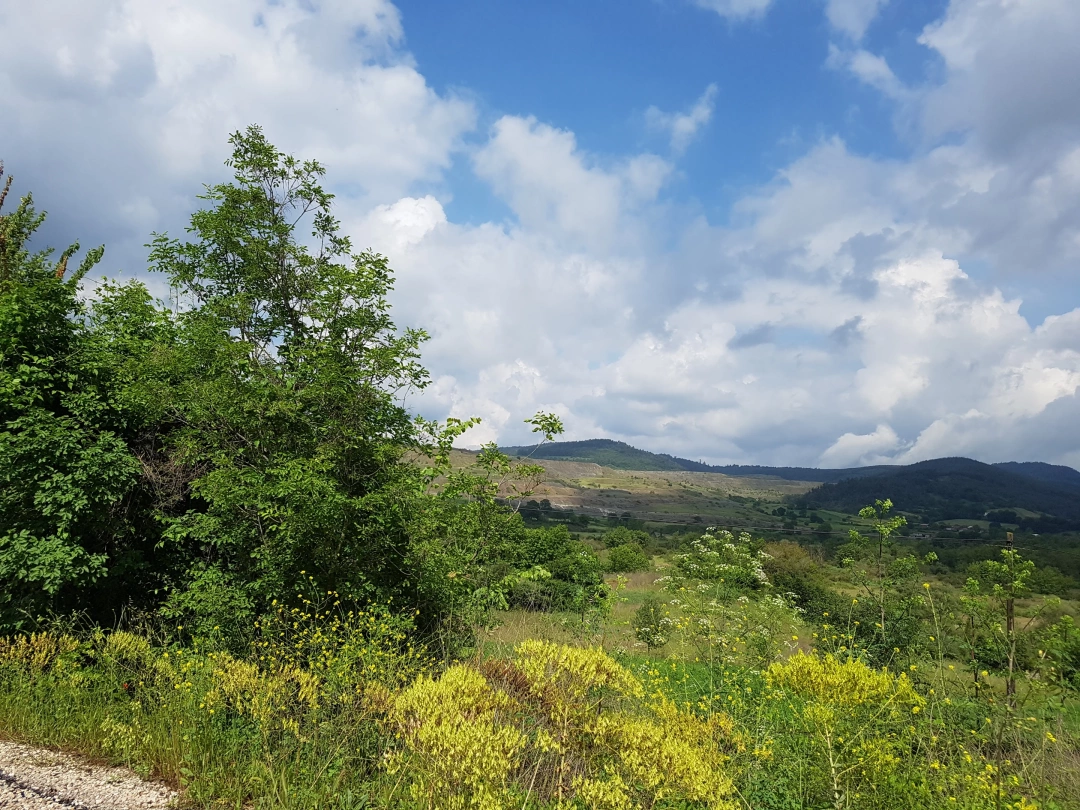 sevdamizkocaeli / 2338