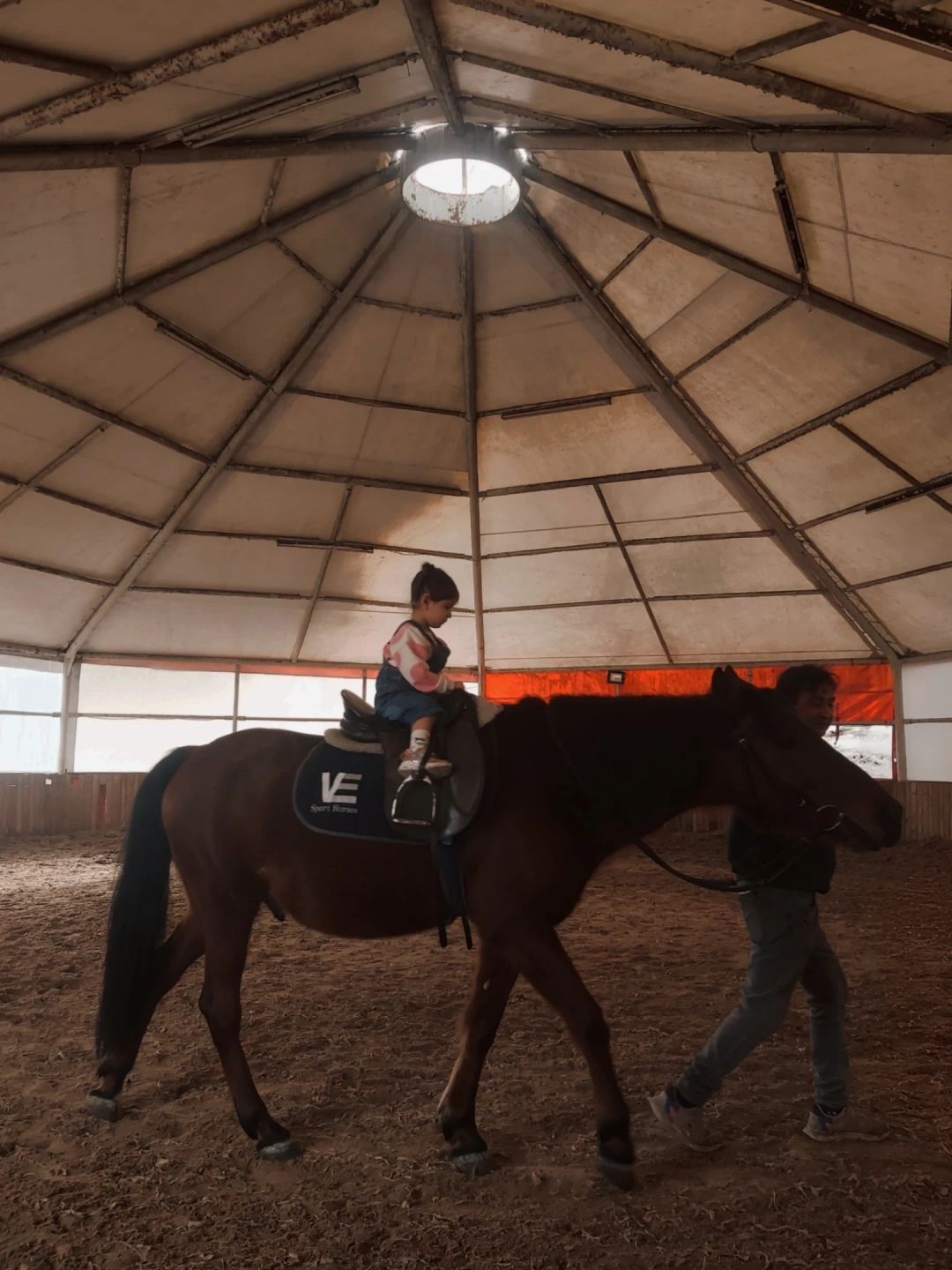 izmit-at-klubu / 9338