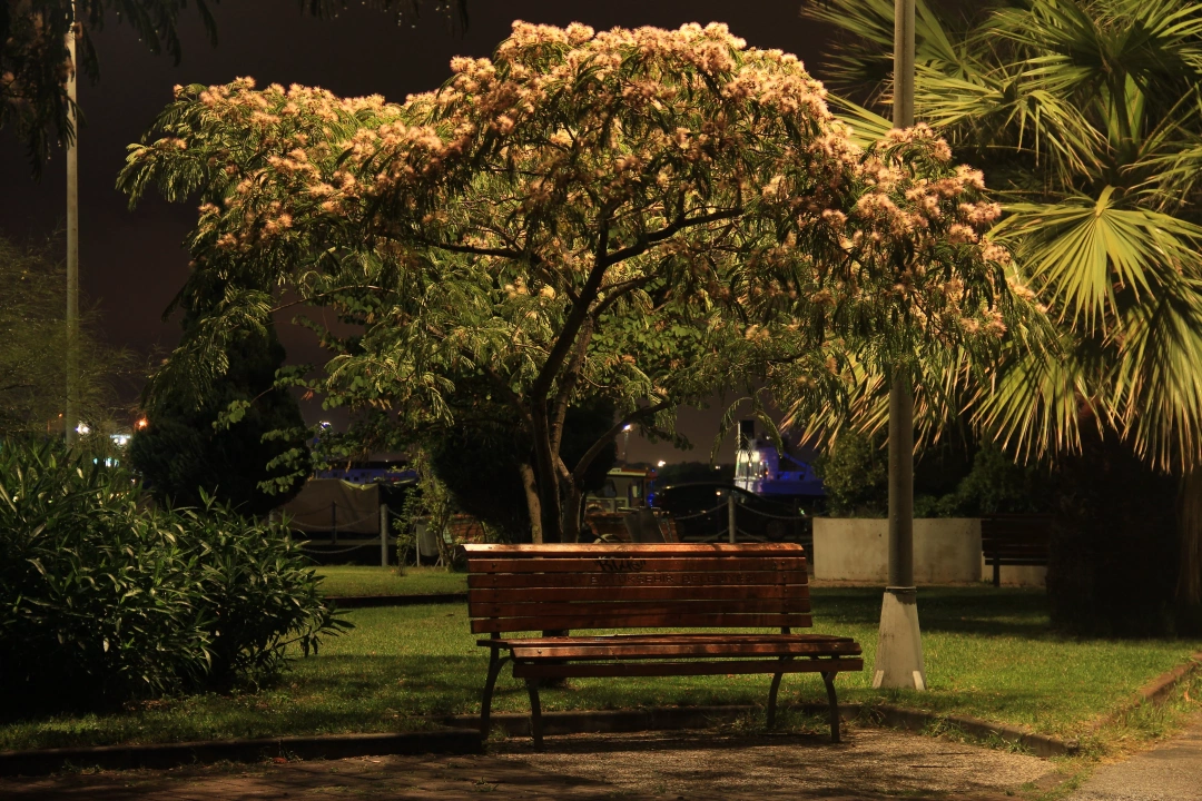 mutlusehirkocaeli / 2715