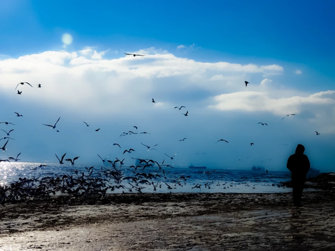 sahil-kis-deniz / 9859