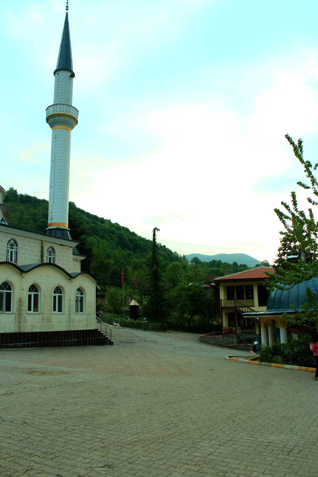 servetiye-koyu-basiskele-kocaeli / 11415