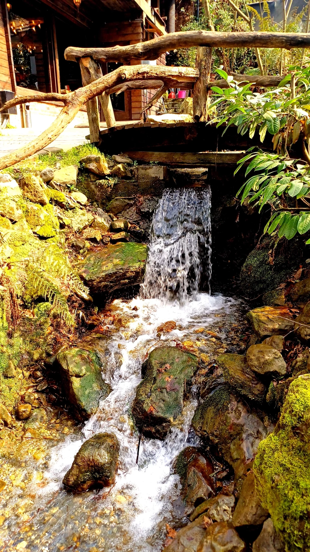 masukiye-kocaeli / 10515