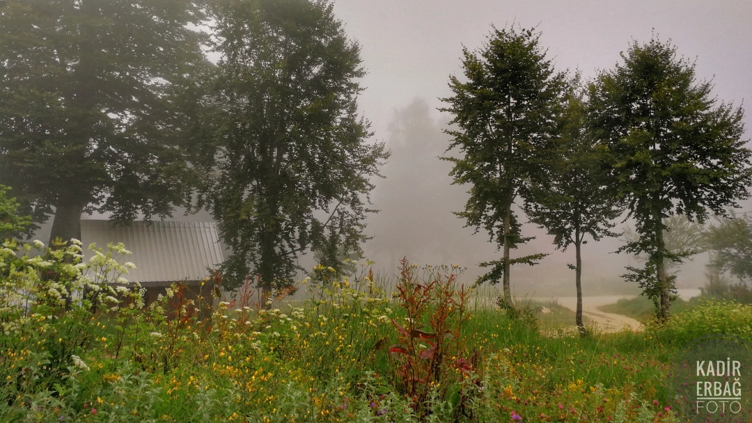 kuzuyayla-kartepe-kocaeli-foto-kadir-erbag / 12559