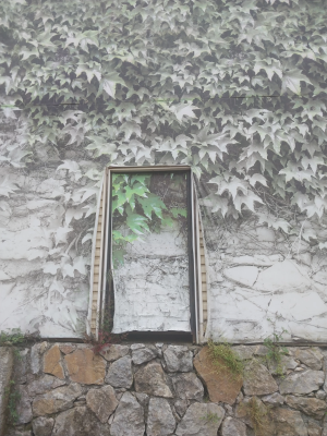 masukiye / 13541