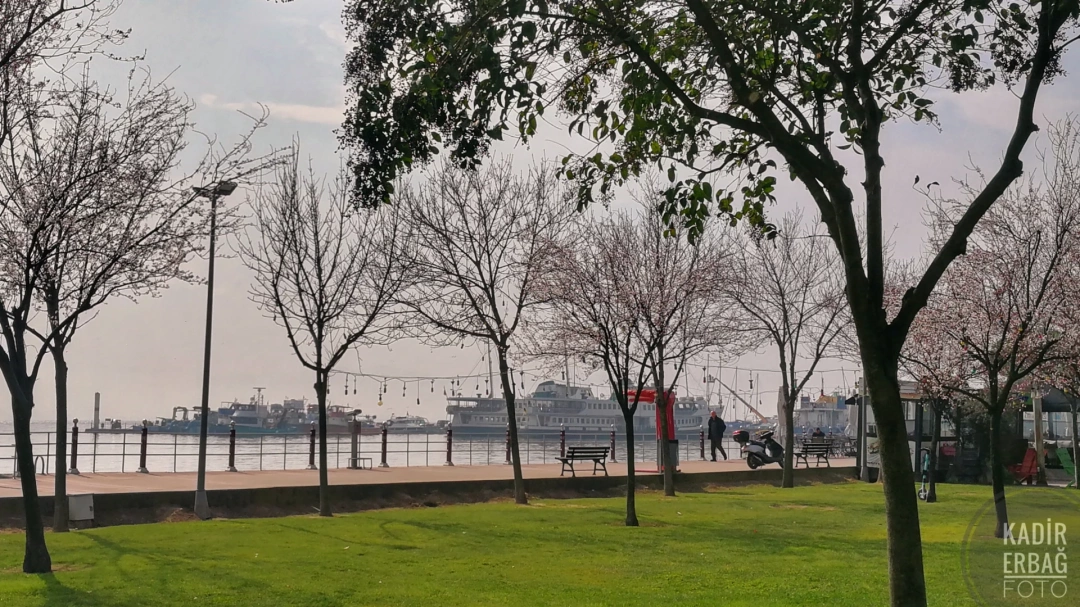 sahil-izmit-kocaeli-foto-kadir-erbag / 11759
