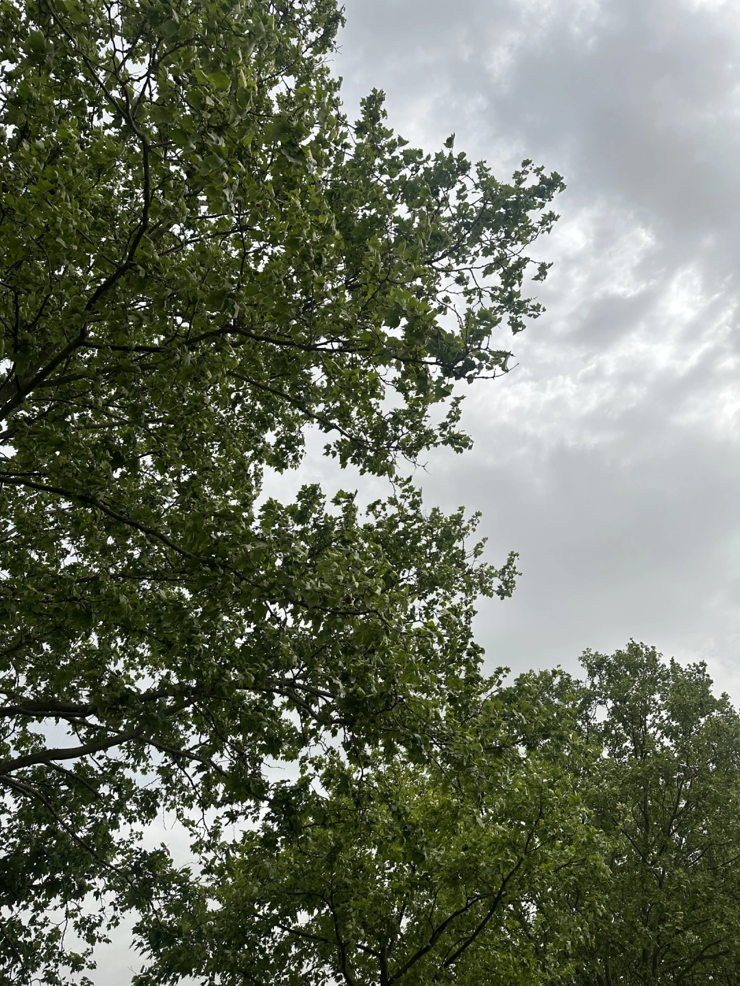 kocaeli-doga-kesfet / 11715