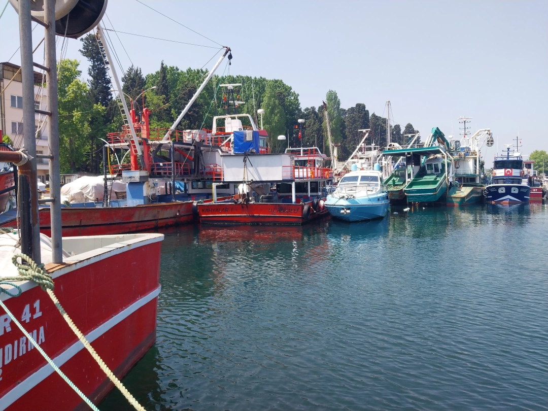 karamursel-eregli / 13359