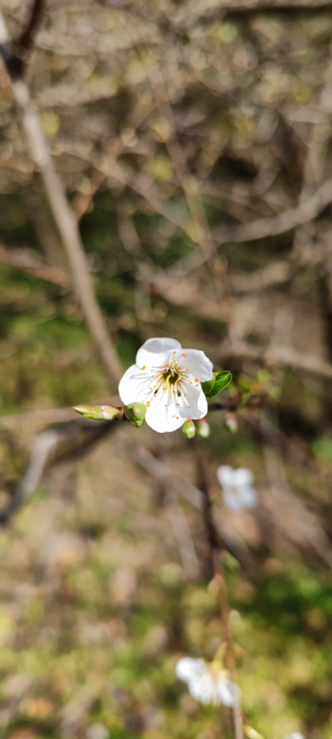 izmit-kocaeli-sevdamizkocaeli-fotograf / 14915