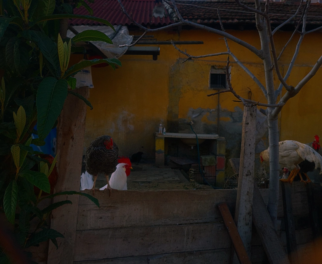 farm / 9059