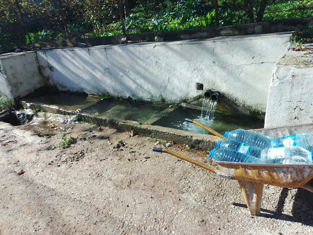 kandira-agacagil-koy-pinari-kocaeli-koy-pinari / 7859