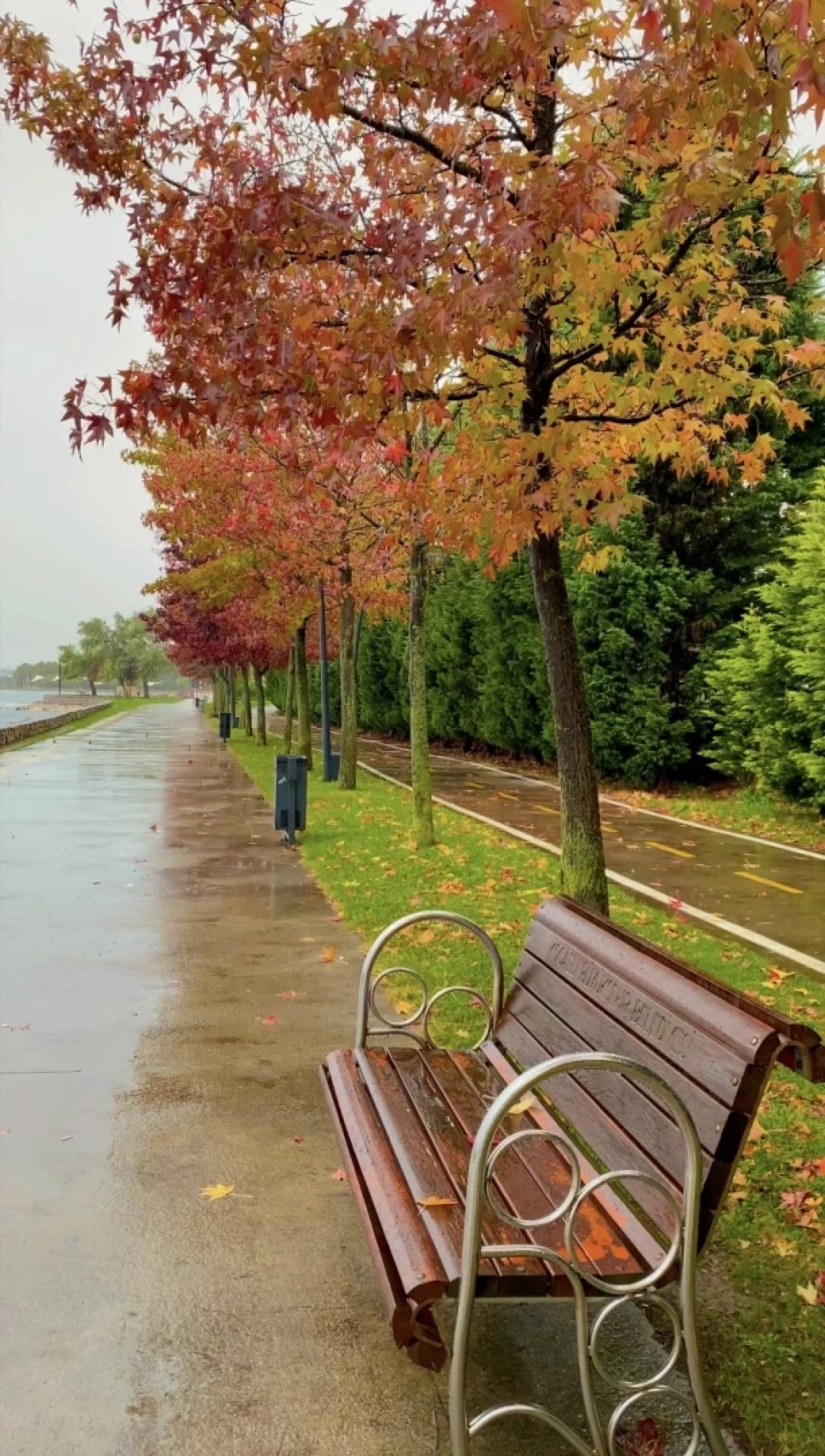 sekapark-burasikocaeli / 7515