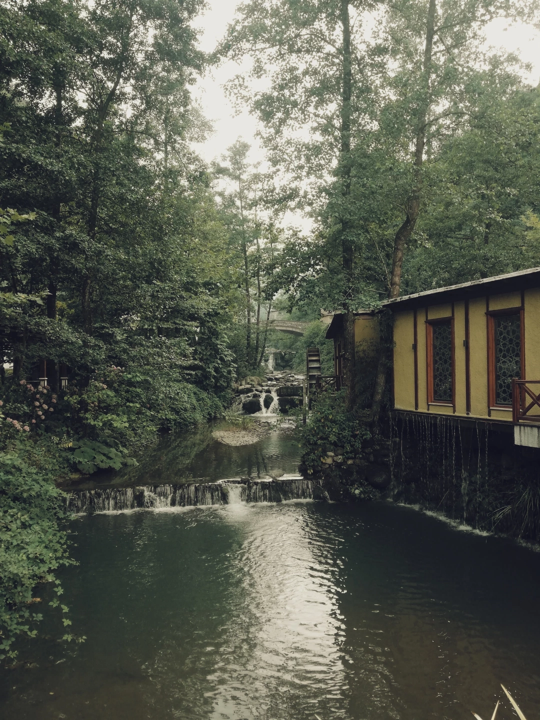 sapanca / 3694