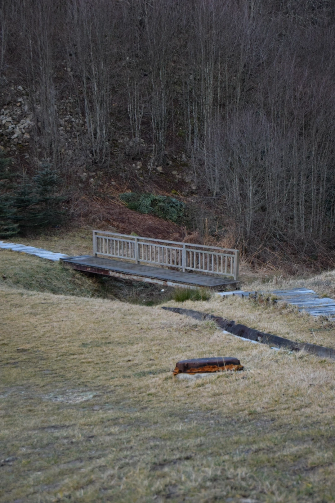 dirilis-kampi / 2294