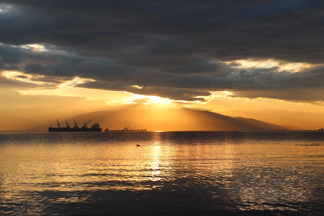 izmitsahil-gunbatimi-basiskelesahil-izmittesonbahar / 16306