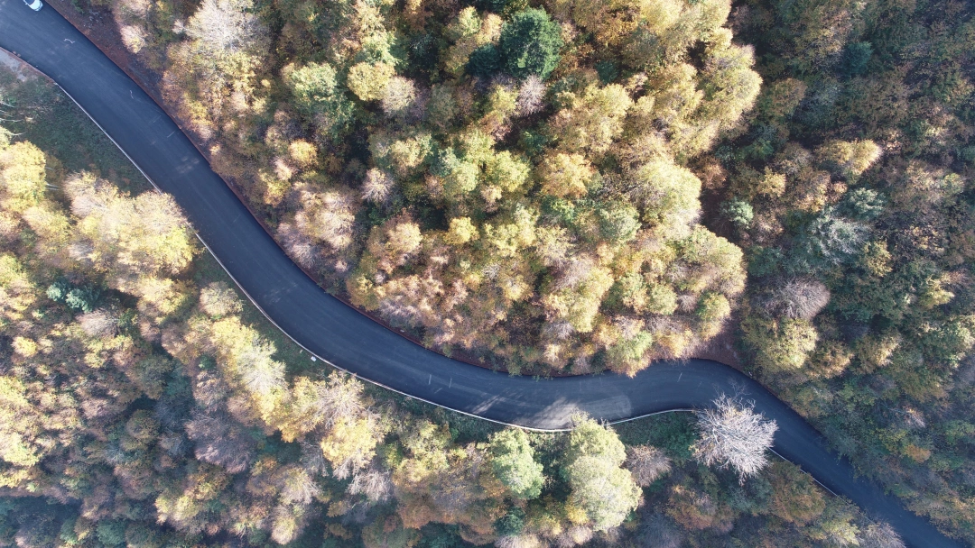 kartepe-kartepe / 9006