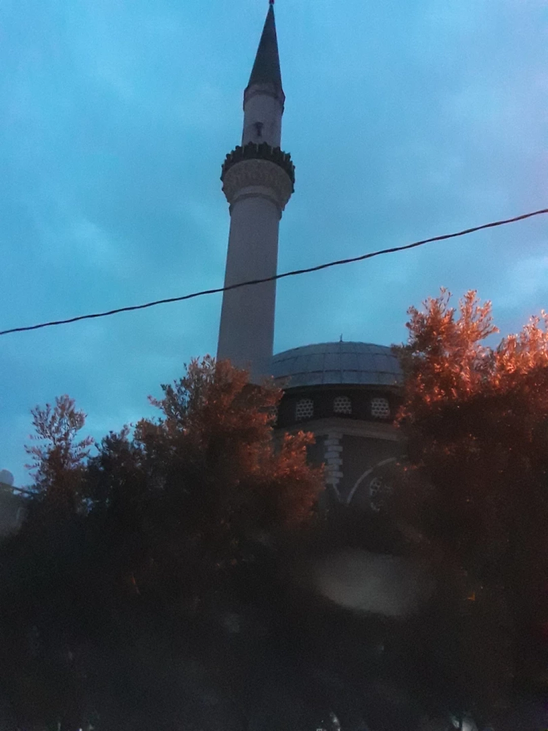 golcuk-ortacami-dumlupinar-mahallesi / 8006