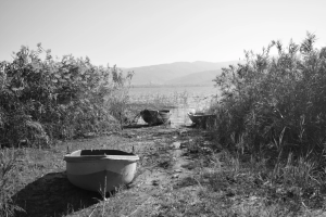 sapanca / 8876