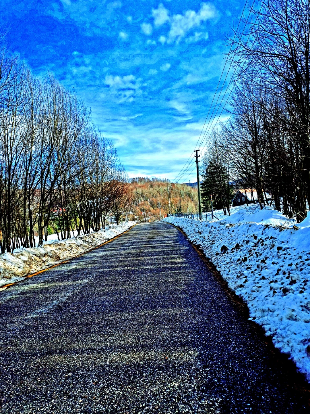 aytepe-kis-kocaeli / 10450