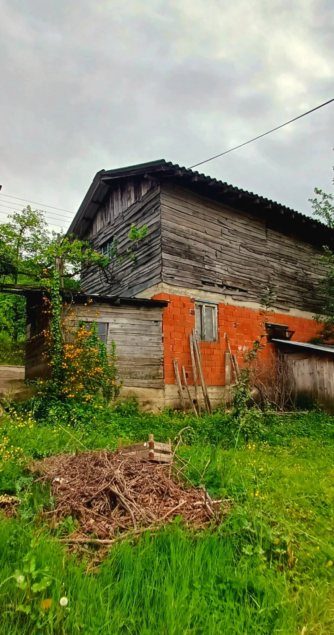 servetiye-koyu-kocaeli / 10794