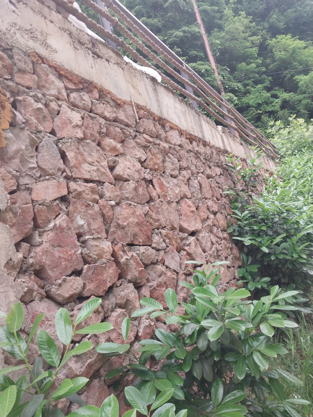 masukiye / 13506