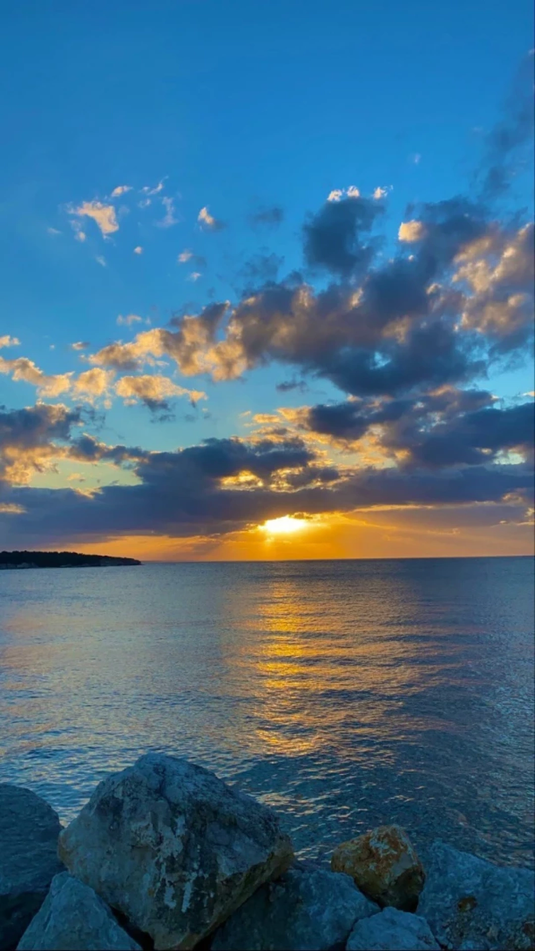 at-kerpelimangunbatimi / 1906