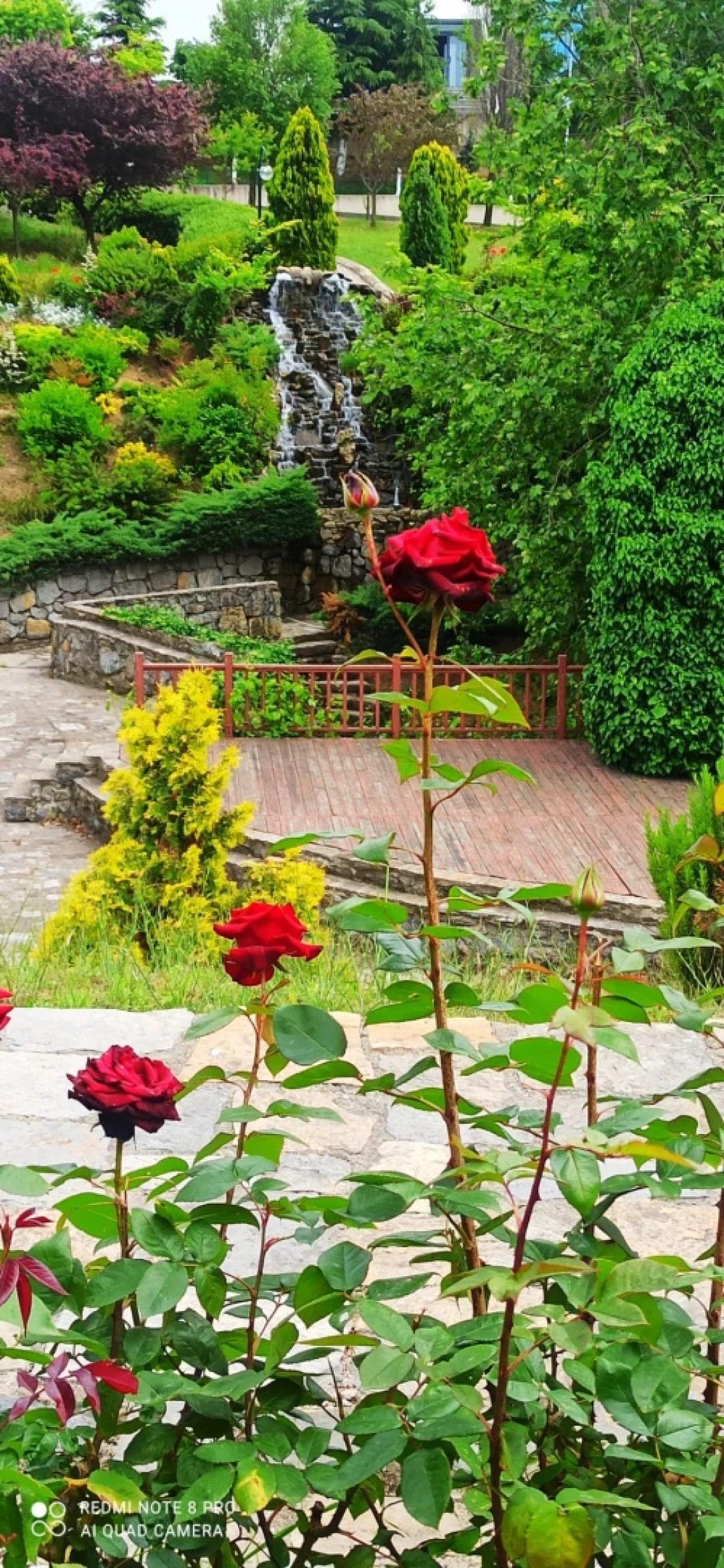 cayirova-taysad-organize-parki / 1609