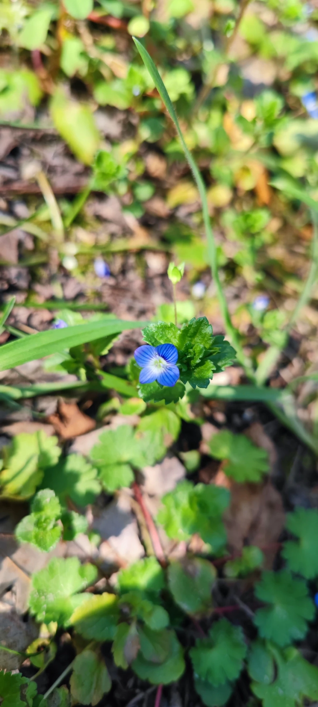izmit-kocaeli-sevdamizkocaeli-fotograf / 14997