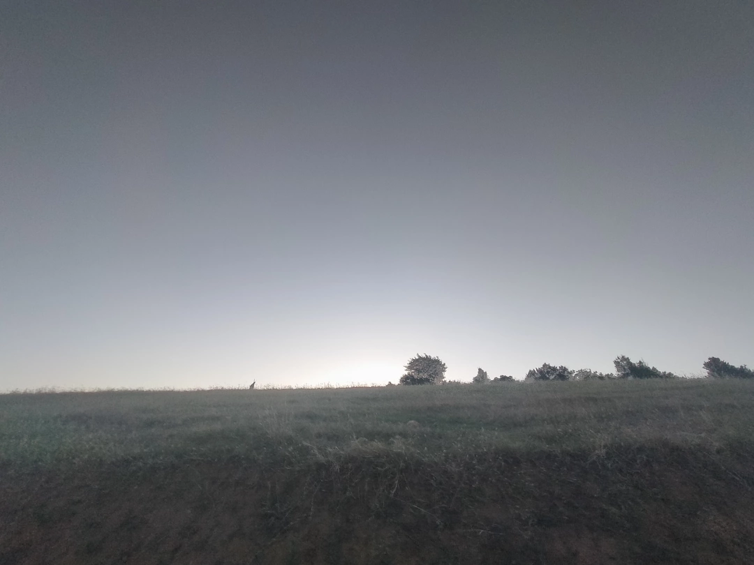 saricalar-koyu-sevdamizkocaeli / 5809