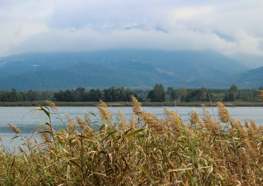 sekakampi-kartepe-sapancagolu / 4209