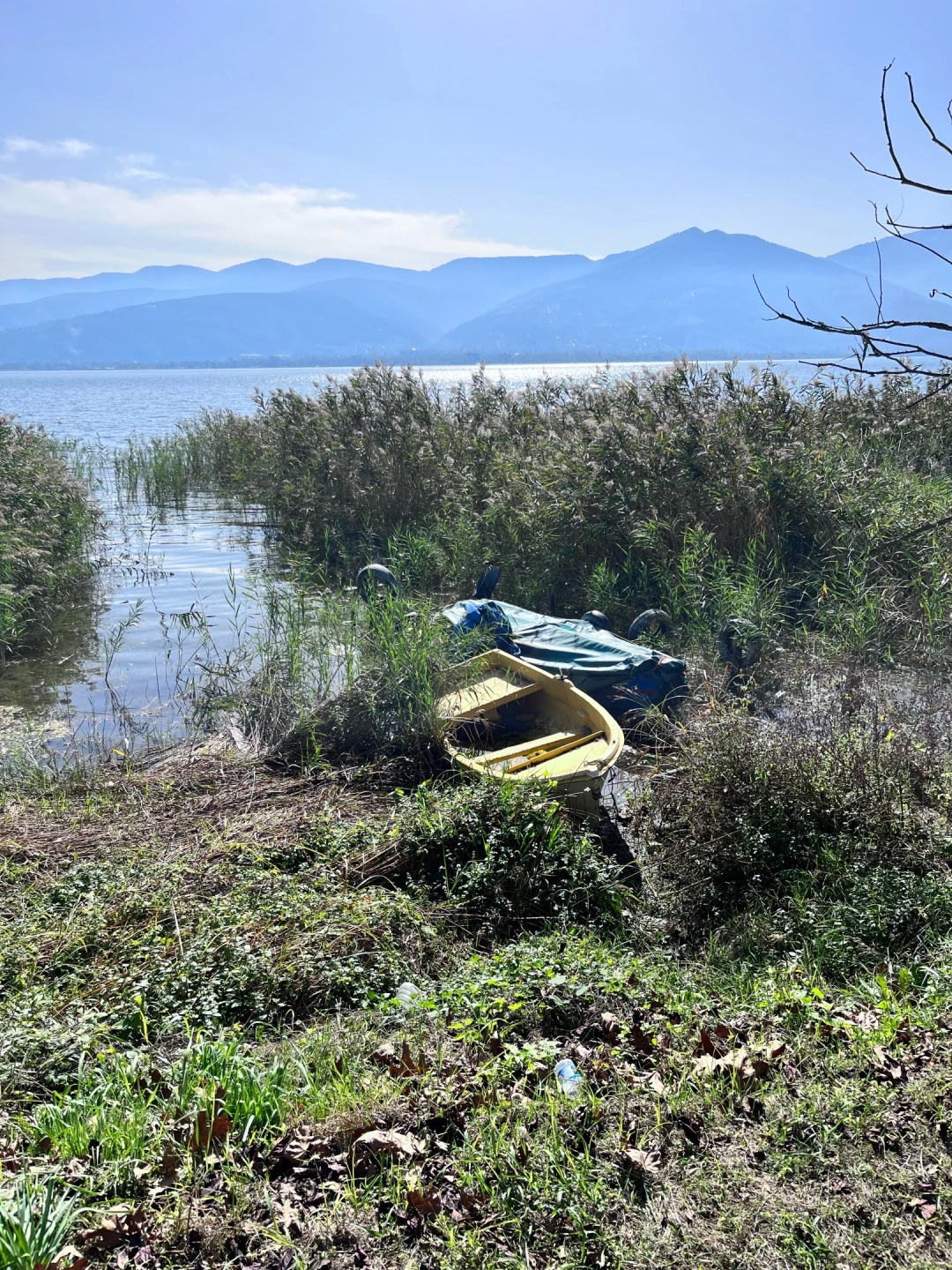 esme-ayvafestivali-sapanca-sevdamizkocaeli / 5597