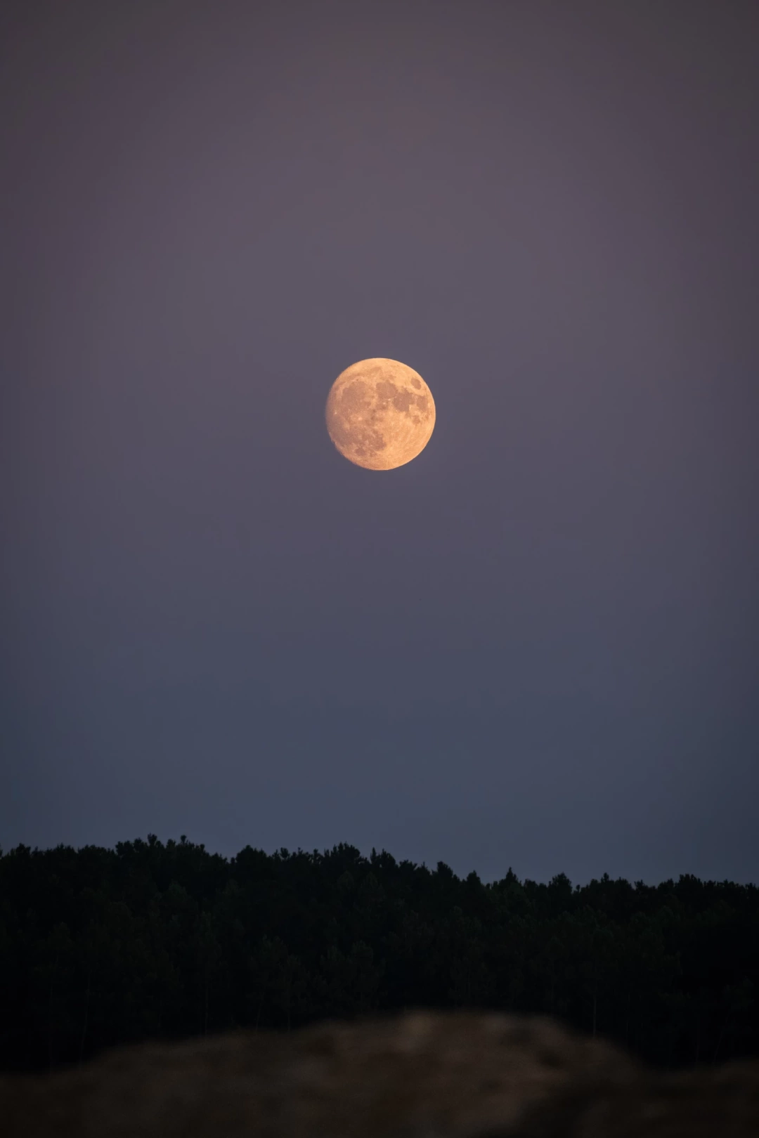 kocaeli-ay-dolunay-gokyuzu-kandira-pembekayalara / 8753