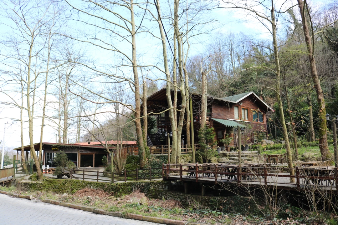 masukiye-dag-evi / 9597