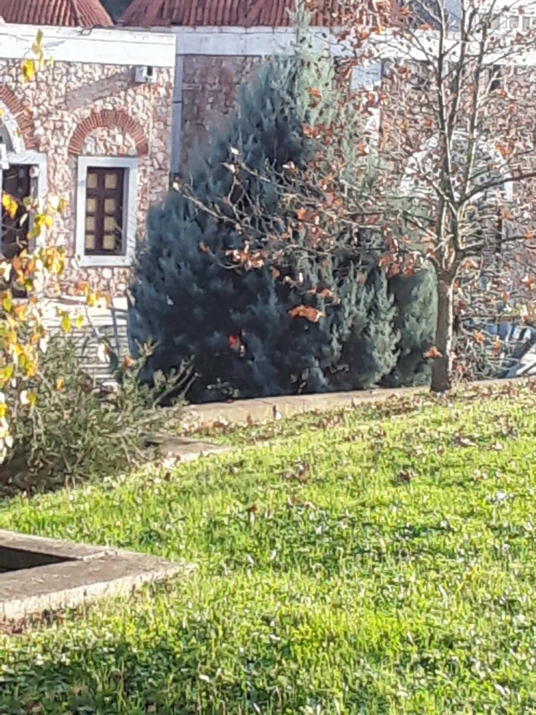 golcuk-yazlik-ilicasi / 7953