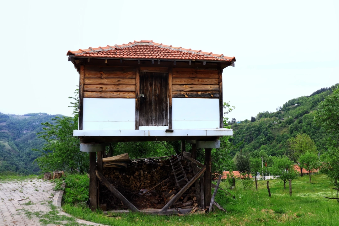servetiyekoyu-kocaeli / 10653