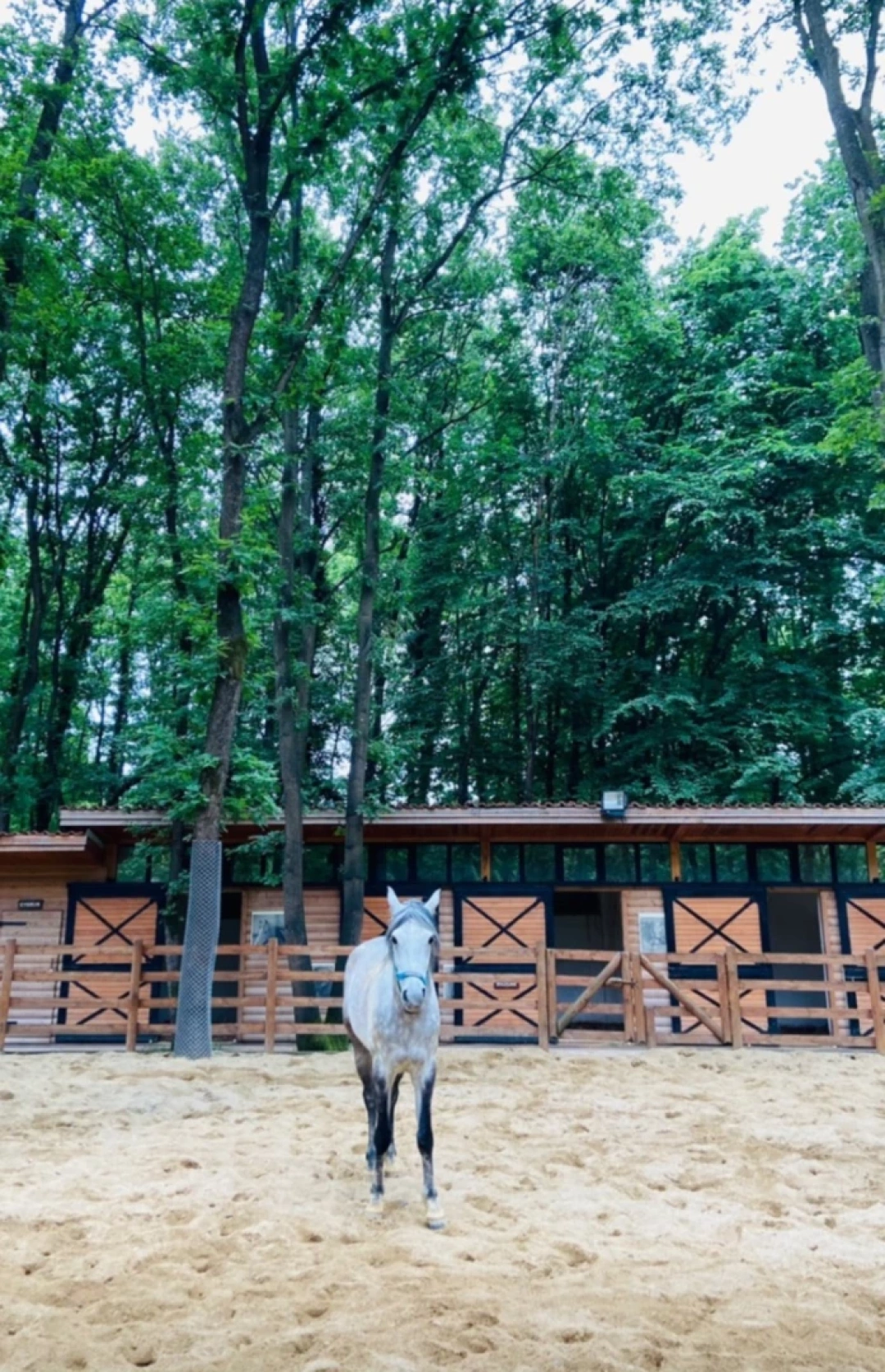 ormanya-kocaeli-izmit-sevdamizkocaeli-ormanya / 3840