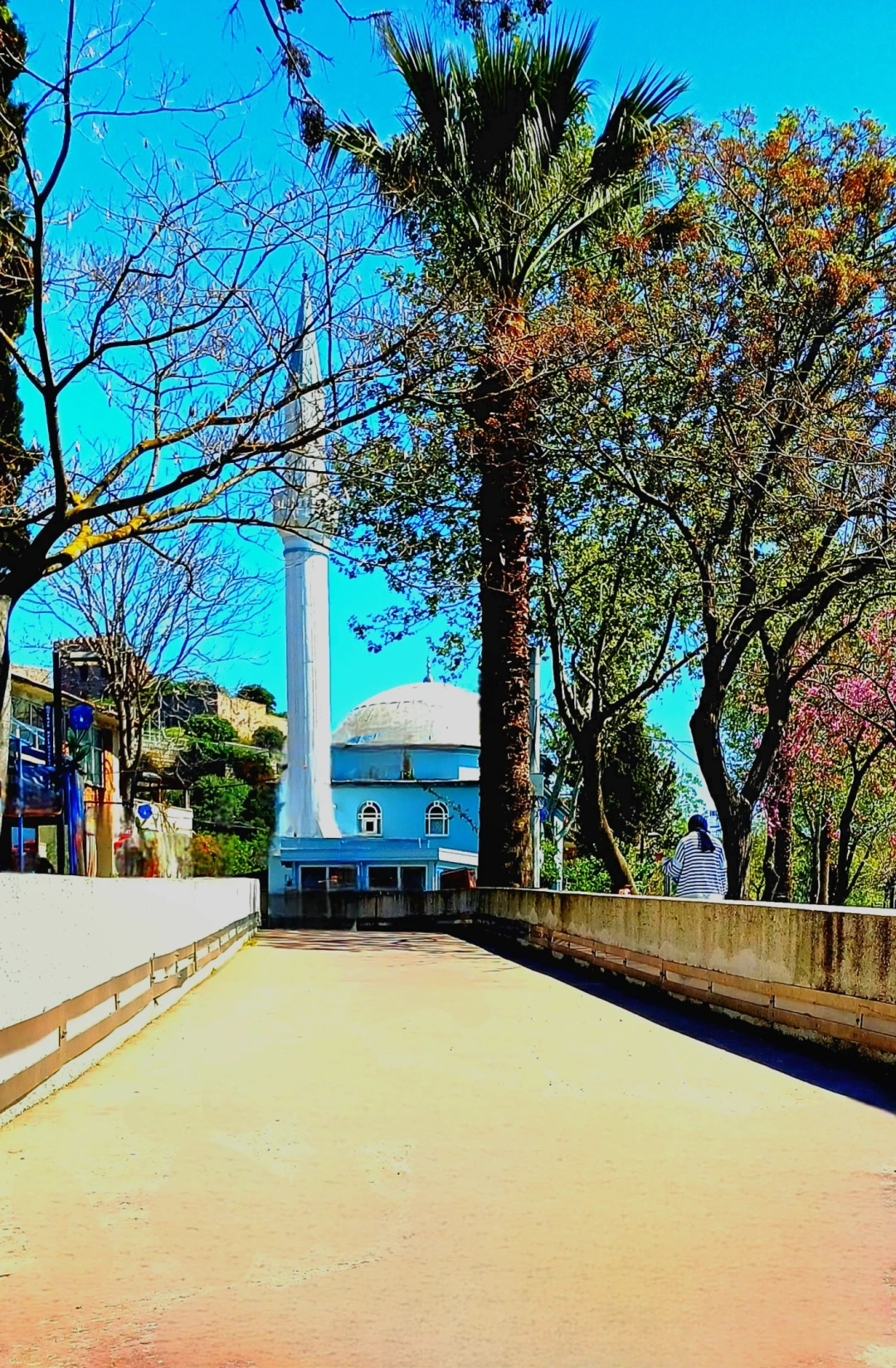 gebzeeskihisar-merkez-camiikocaeli / 10284