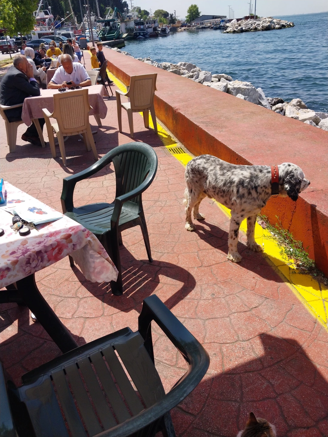 karamursel-eregli / 13284