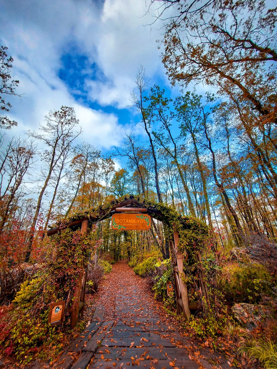 ormanya-botanik-yola-giris / 640