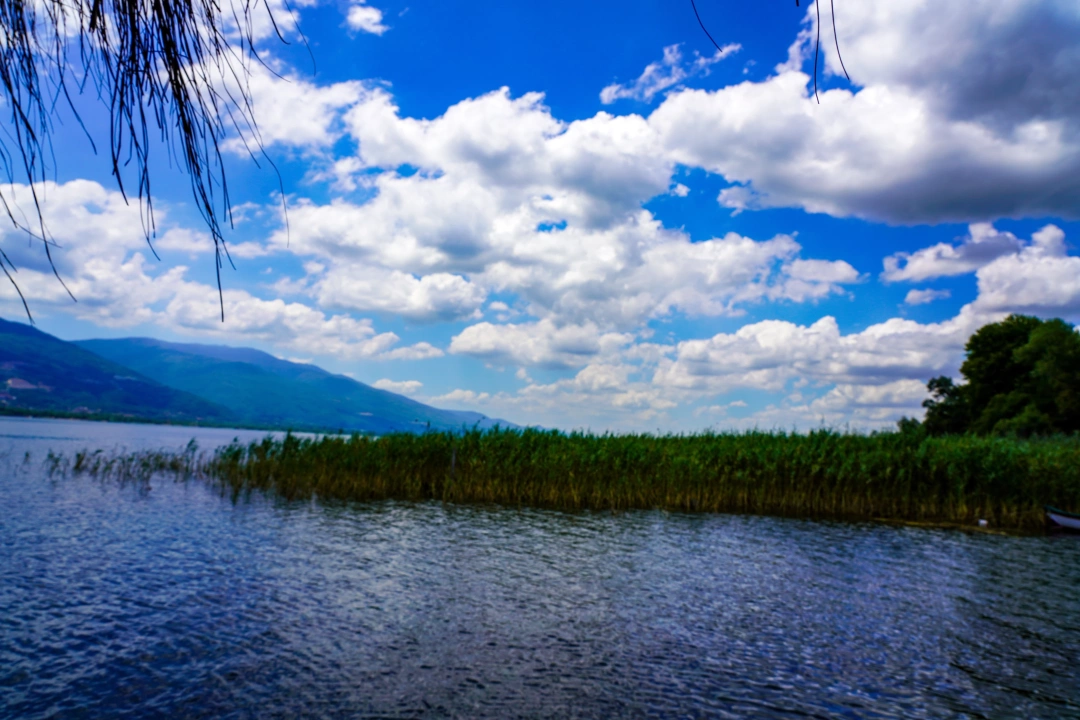 esme-kartepe-gol-kocaeli-izmit / 15523