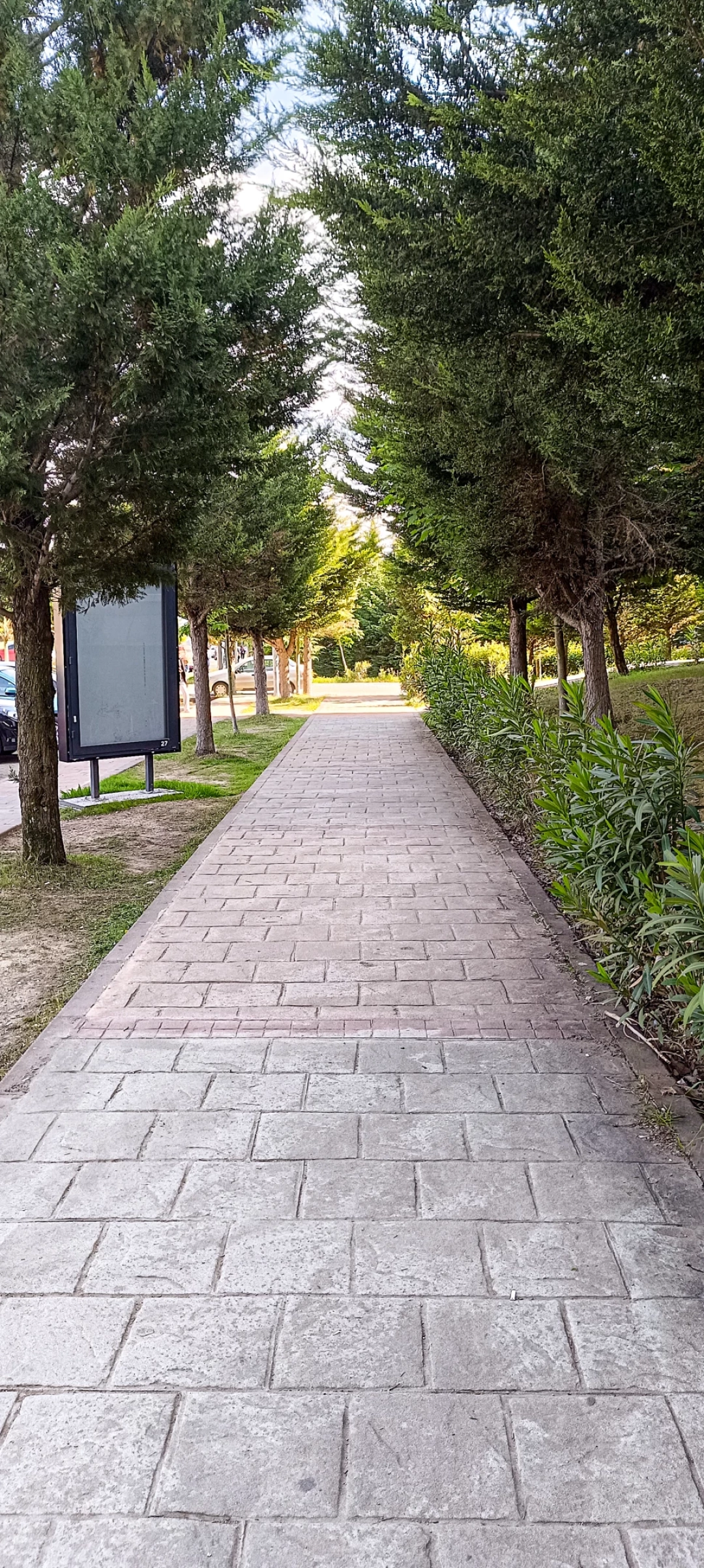 umuttepe-kampus / 13067