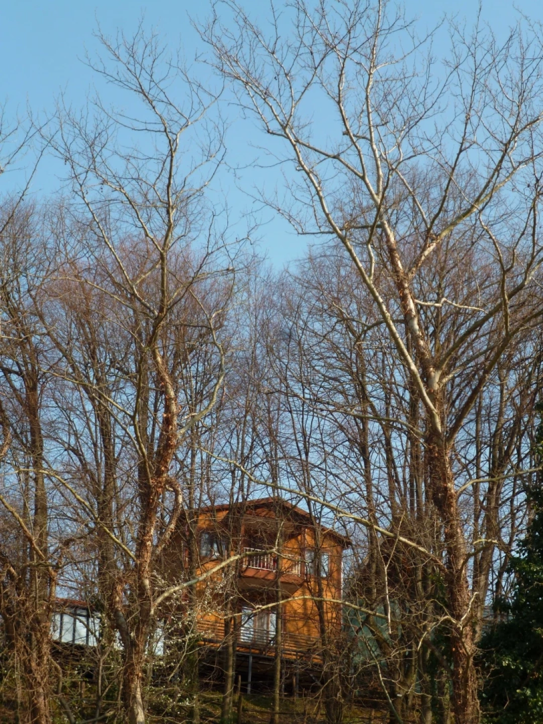 kocaeli-masukiye / 11023