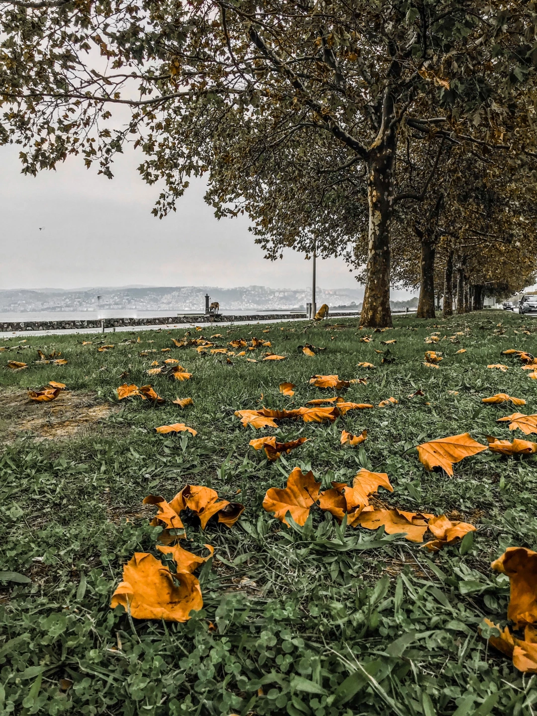 kocaeli-izmit-orduevi-halkevi-izmitcarsi-sahil-deniz-heykel-basiskele-yuvacik-sekapark-kolordu-sekakamp-akmese / 4867