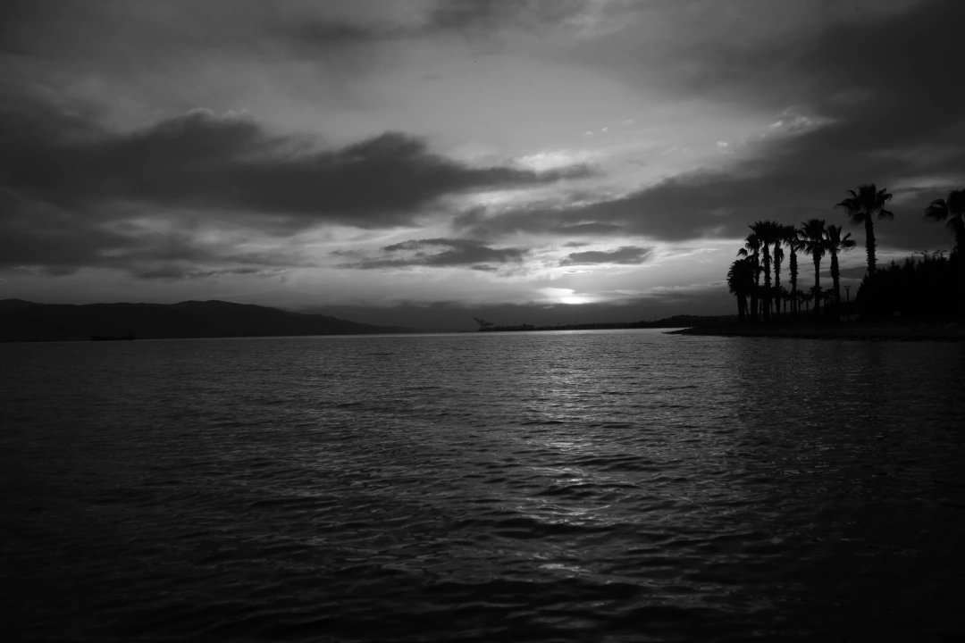 izmit-seka-park-izmit-seka-park-deniz-bulut-sevdamizkocaeli / 3567