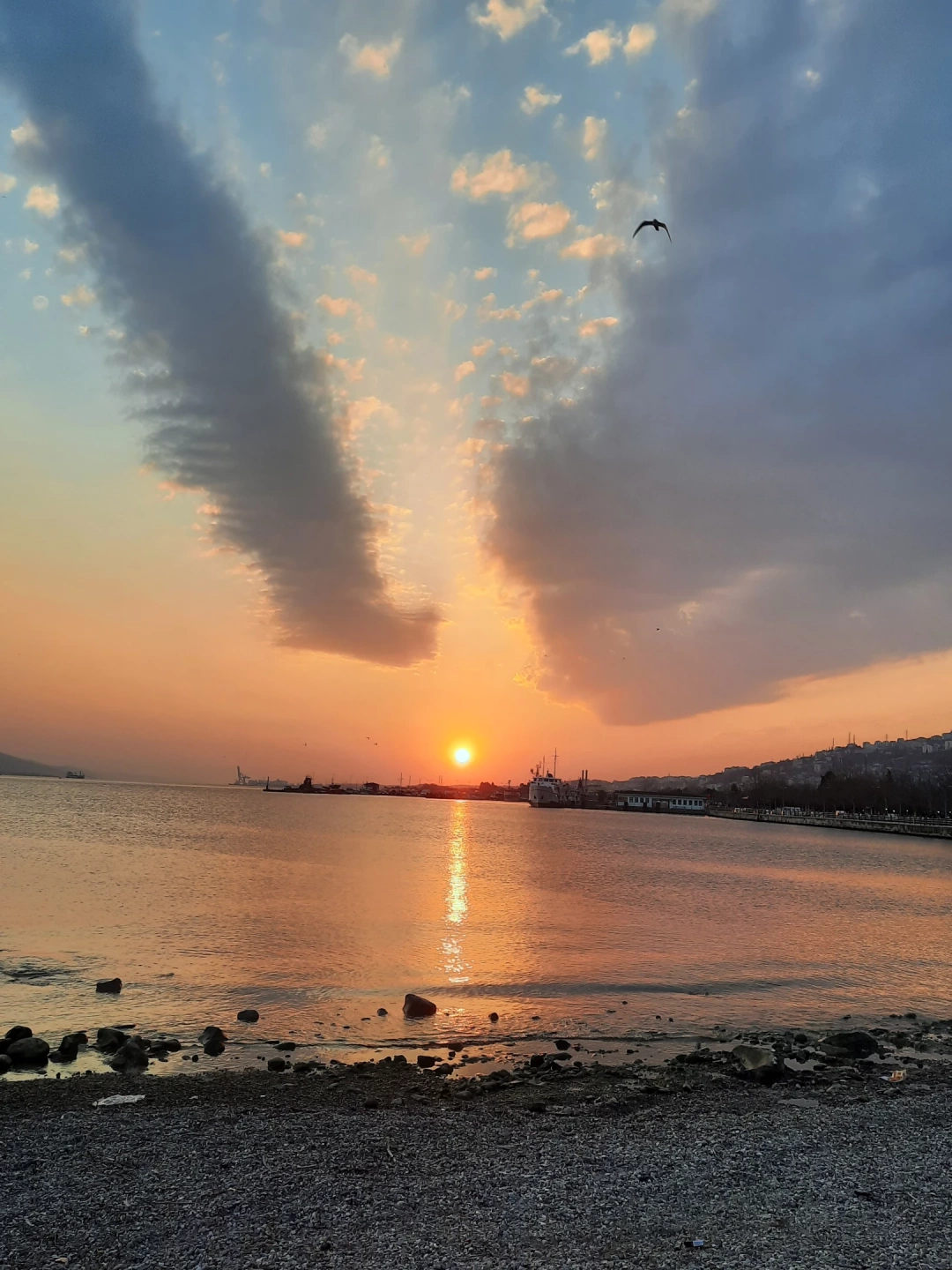 melek-kanatlari / 2023