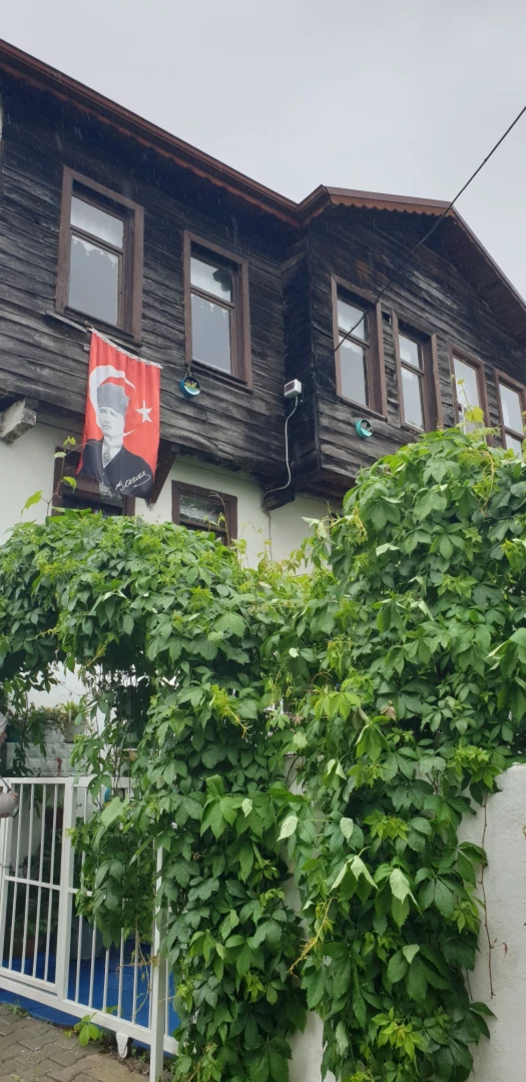 sarayli-koyu / 13087